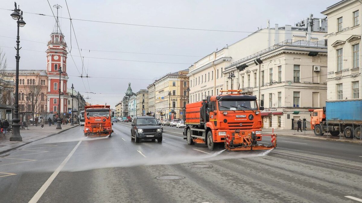     Источник: Telegram-канал комитета по благоустройству Петербурга