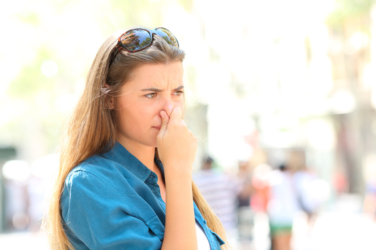    Фото: Antonio Guillem / Shutterstock.com