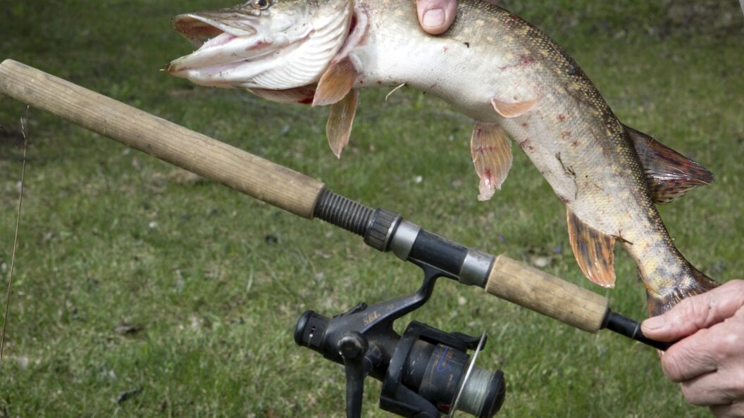    Фото: Nikolay Gyngazov/Global Look Press