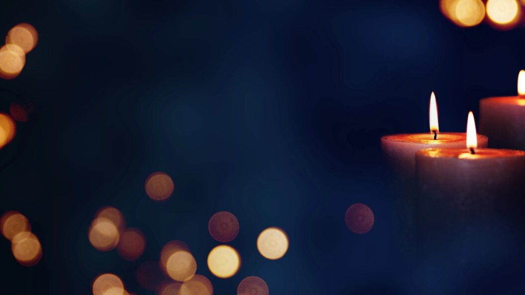    Фото: Gudrun Muenz/shutterstock.com