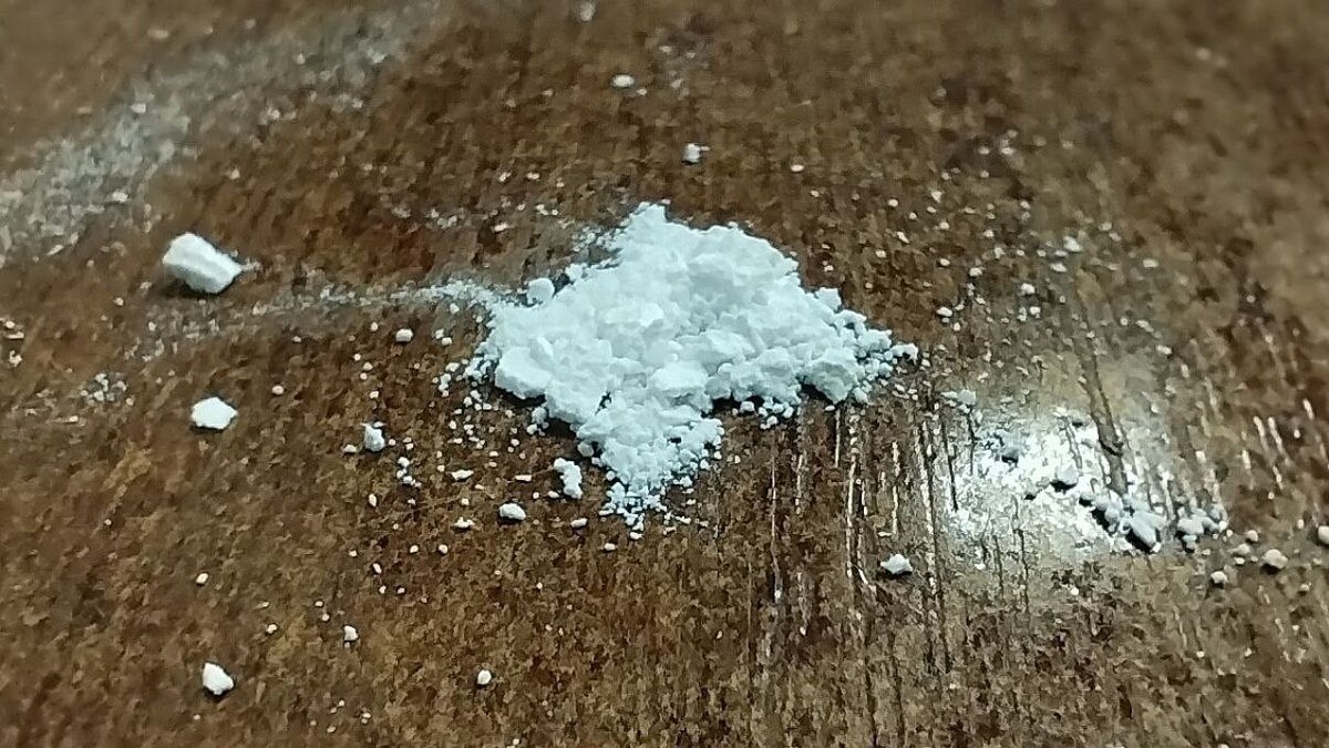    Фото: телеканал «Краснодар»