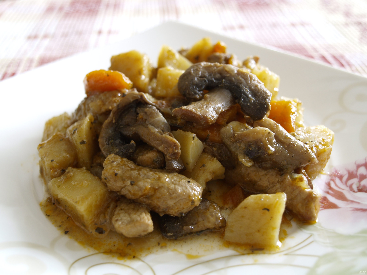 Фото с сайта: https://img.povar.ru/main-micro/15/d0/a5/e2/ragu_s_myasom_i_gribami-118121.JPG