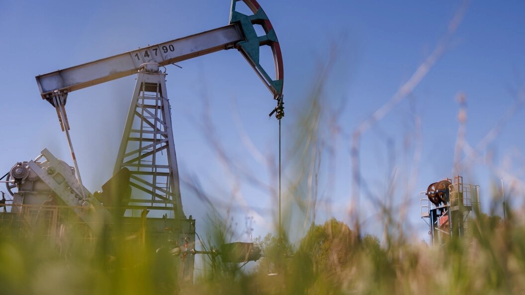    Фото: Sergey Elagin/Globallookpress