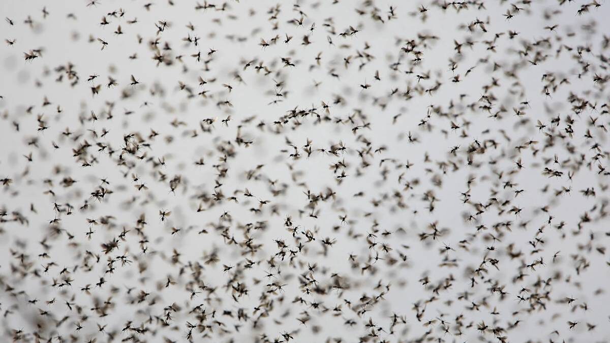    Фото: Shutterstock