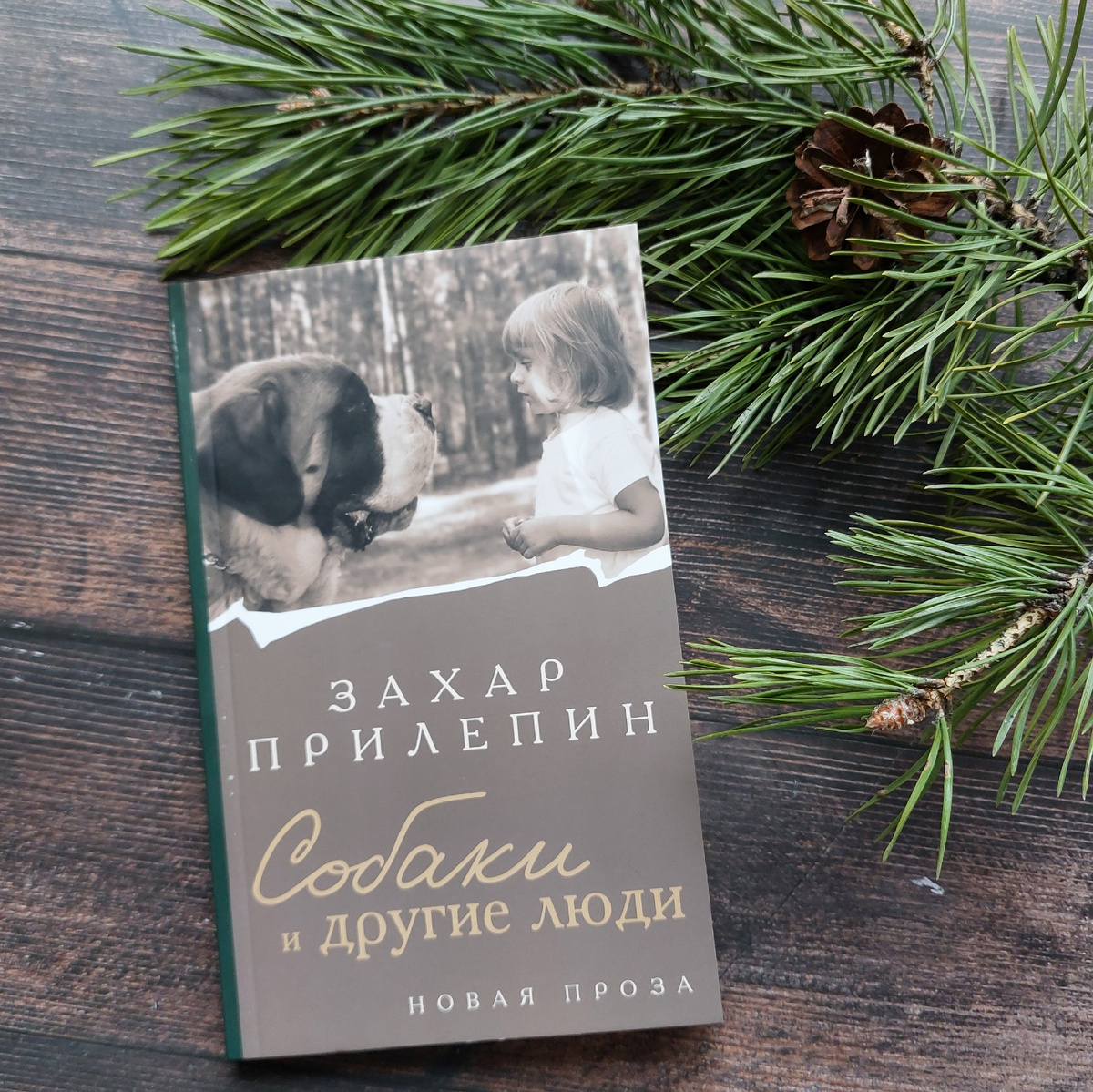 Фото: Козынцева У.