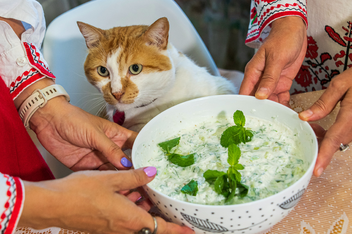 На этой неделе в Крыму официально — жара.