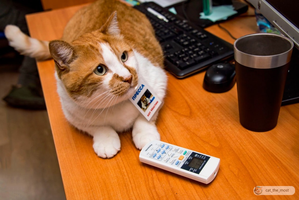 Кондиционер под моим контролем.