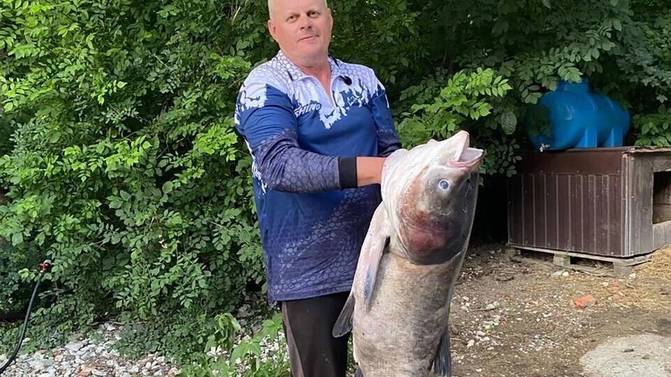     Источник: t.me/lifeabrau