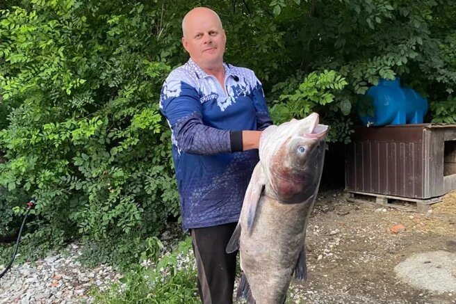    Фото: t.me/lifeabrau