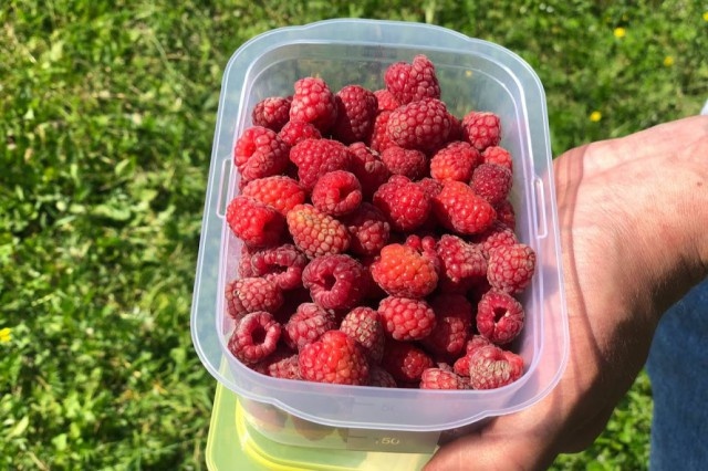   Фото: Калининград.Ru