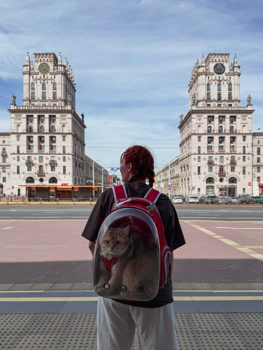 А еще, мы выбрали поезд, так как комфортней путешествовать с котом