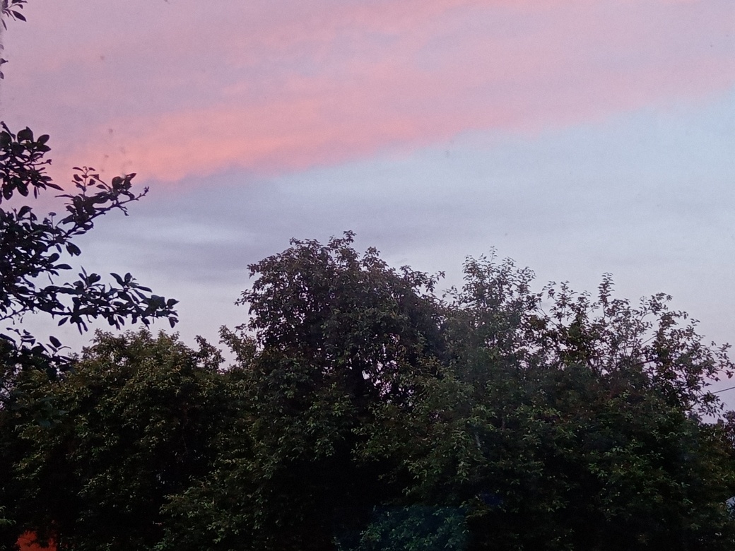 Вид из окна на кухне