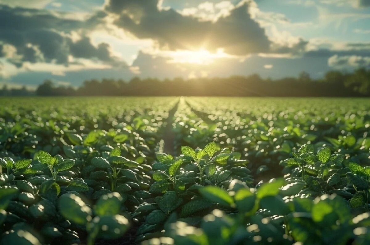    Тверские землевладельцы получили с начала года почти 200 предупреждений