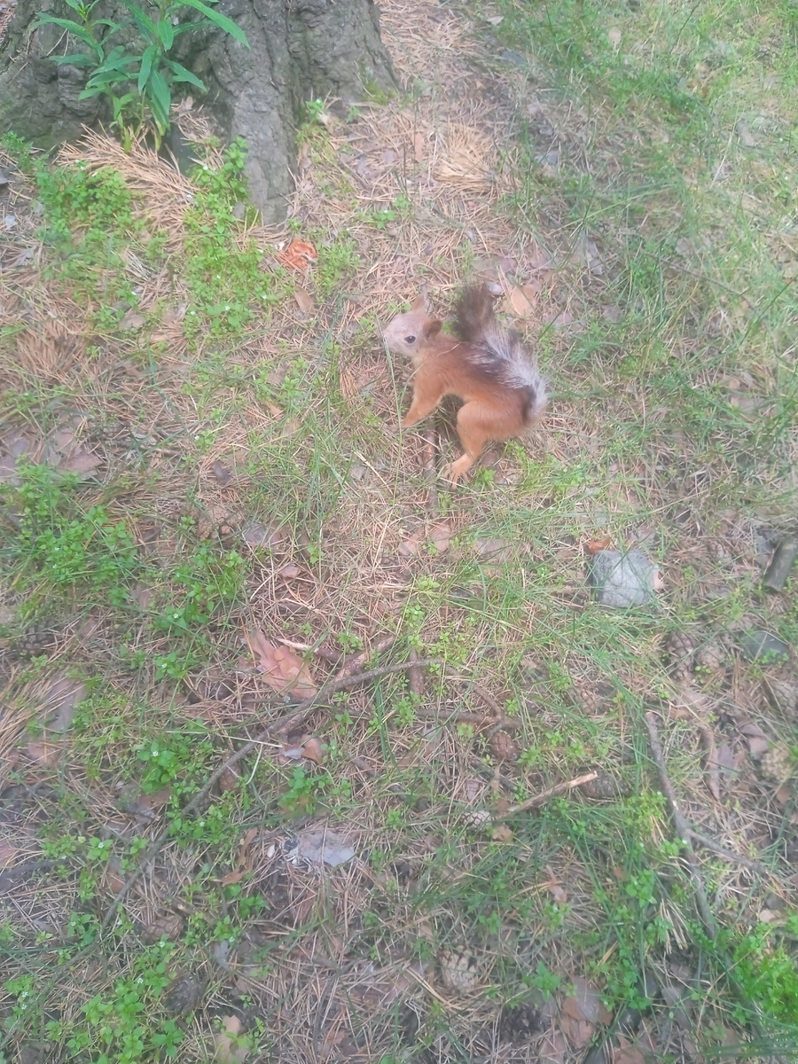 Фото автора. 