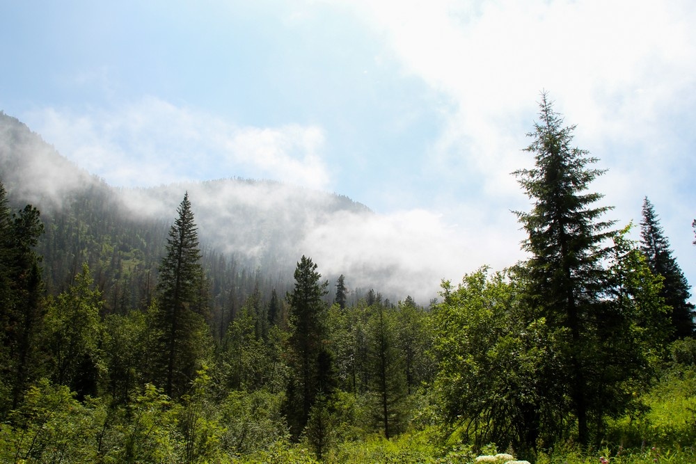 Фото: Кирилл Шипицин. "Хамар-Дабан. Лето" © Фотобанк "RuBabr"