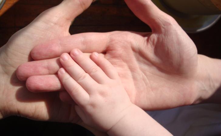    Фото: Курские известия