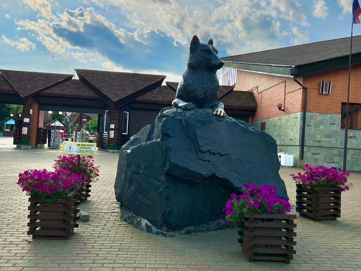 Фото автора. На входе в зоопарк посетителей встречает волк 