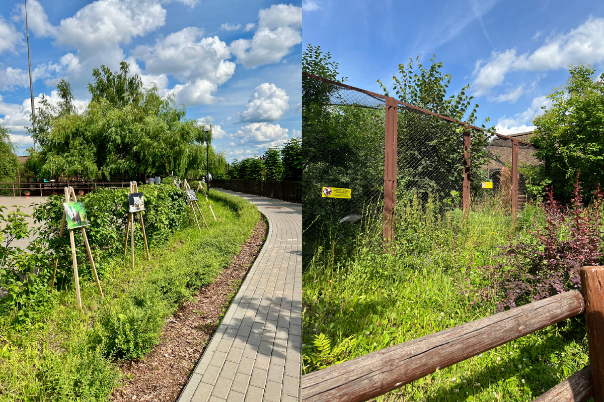Фото автора. Все очень аккуратно и красиво 