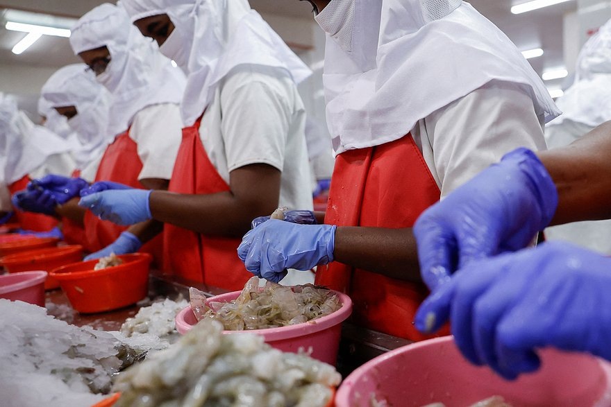    Фото: Sahiba Chawdhary / Reuters