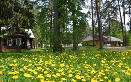 Сосновый бор и никакого интернета 