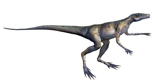 Лагозух. Иллюстрация.