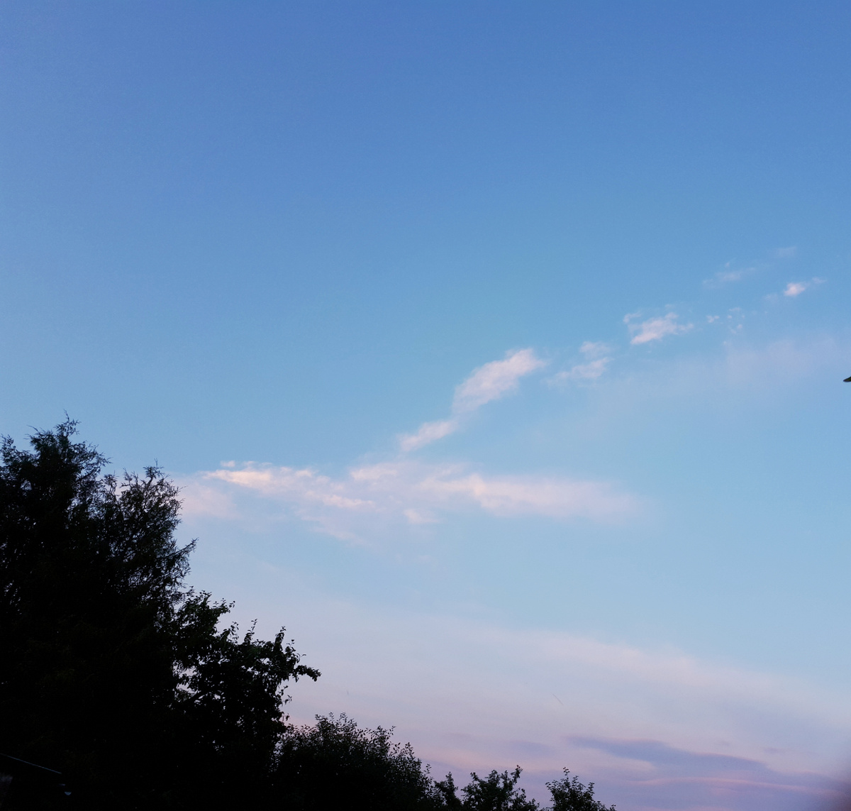 Фото автора статьи