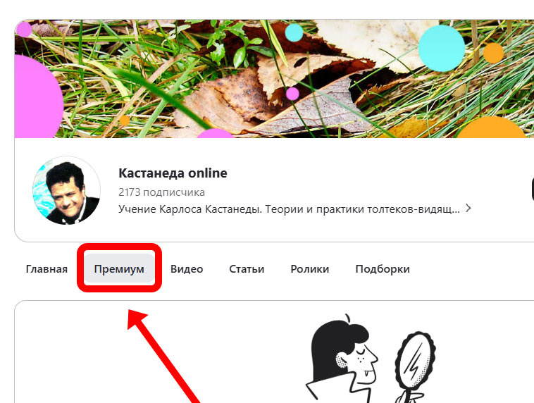«Премиум» на канале Кастанеда online