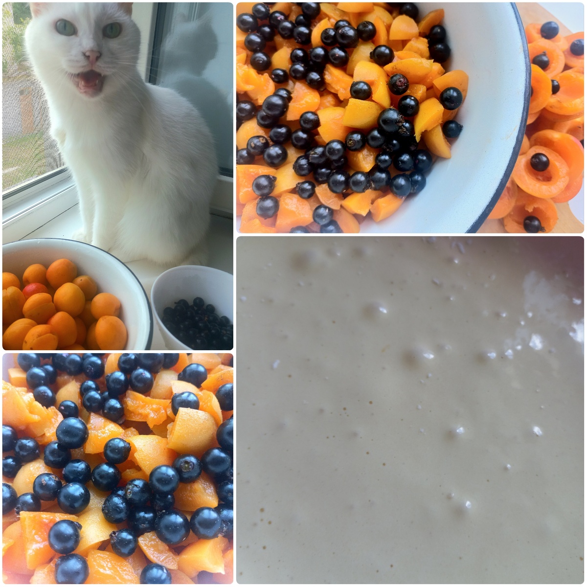 Фотография автора канала "Симфония уютного быта". Лизка в роли - шеф- повара