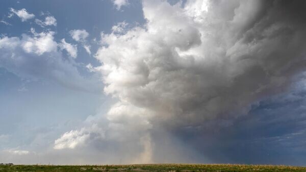    © Getty Images / Anadolu / Nazli Zeynep Karabulut