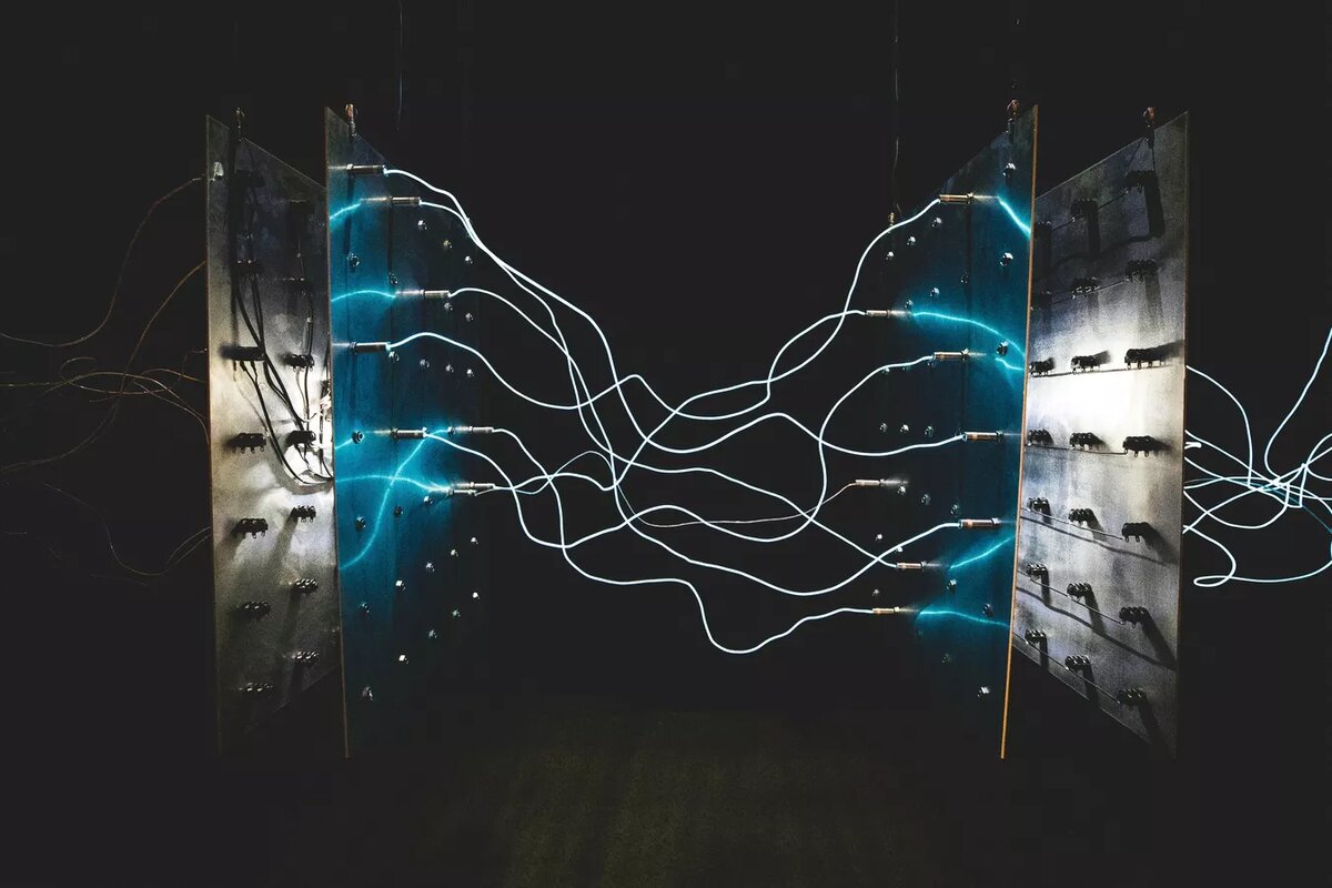 © Unsplash / israel palacio