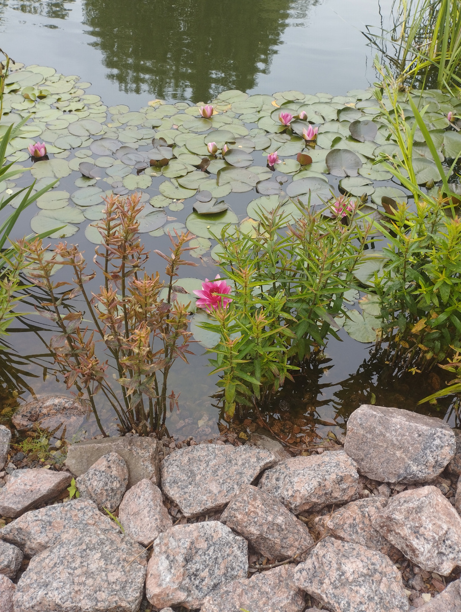 Красота камней и воды