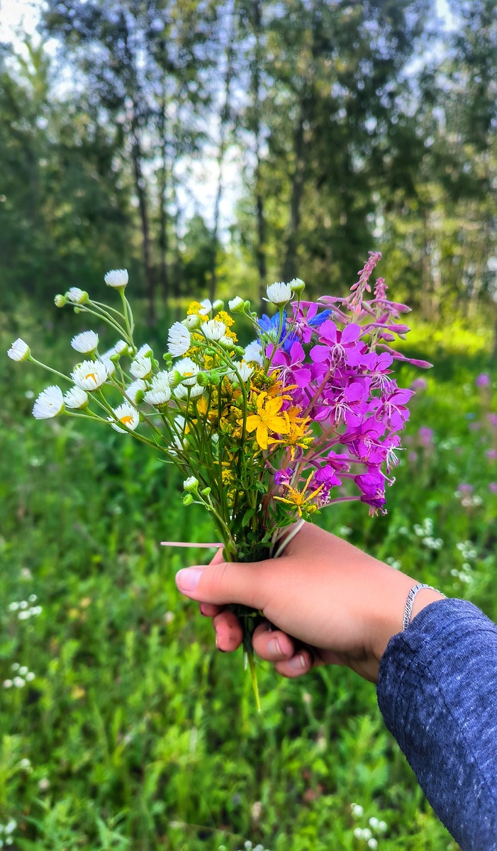 Успела собрать букетик цветов. Кусочек лета. 