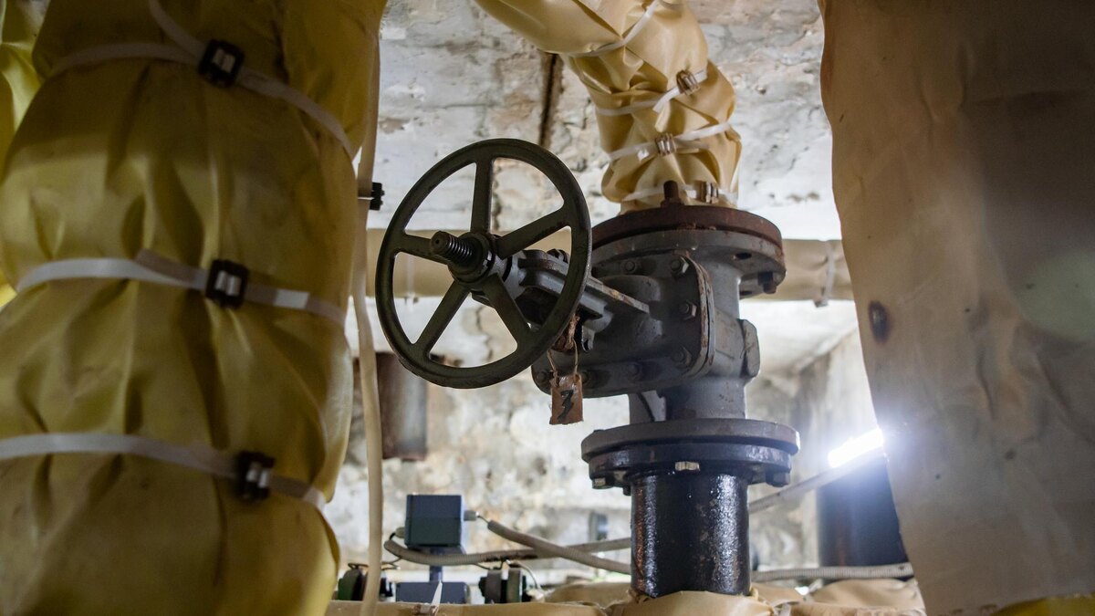    Фото: Oleg Spiridonov/Business Online