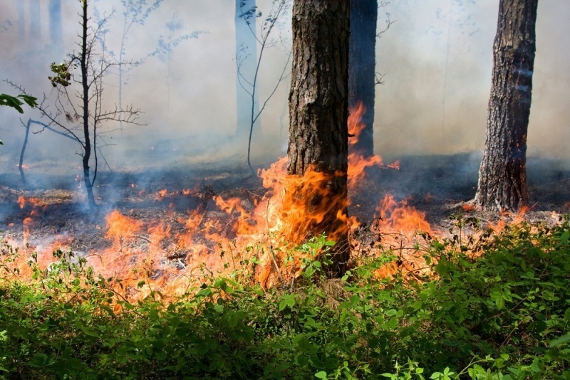   Фото-иллюстрация ГУ МЧС России по Ростовской области. Газета "Земля"