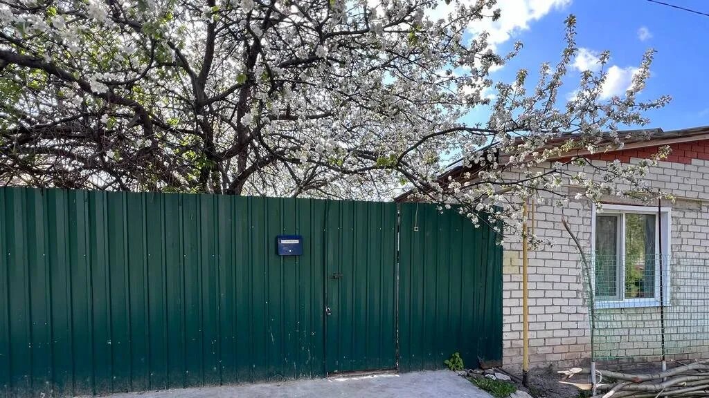 Фото: Урбан Медиа