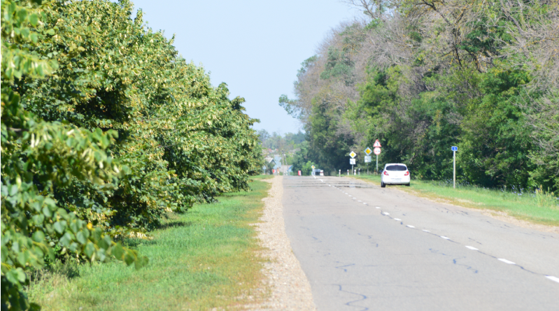 Фото автора. 09.07.2025. День когда плавиться асфальт. 