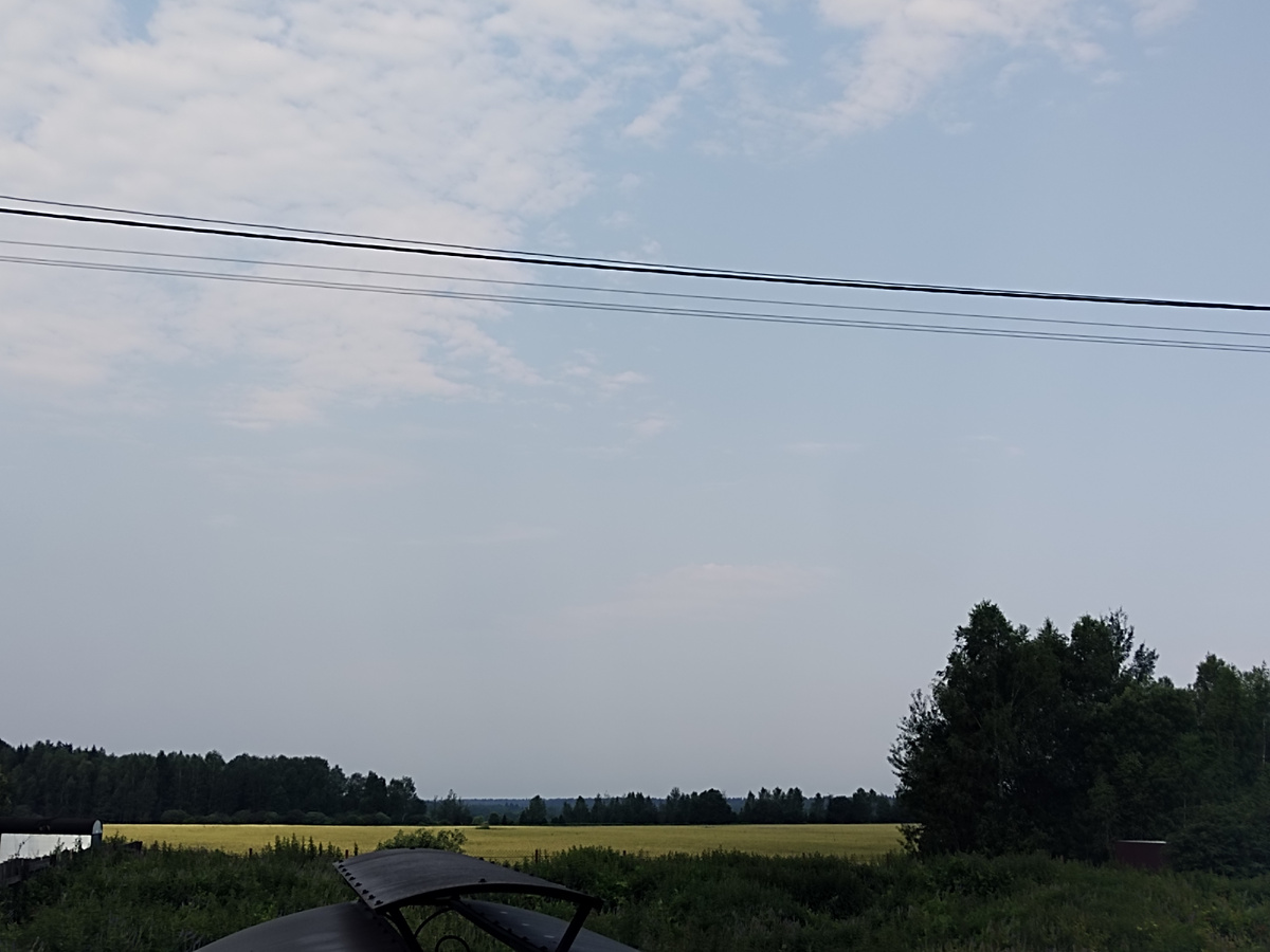 Красивое поле. 