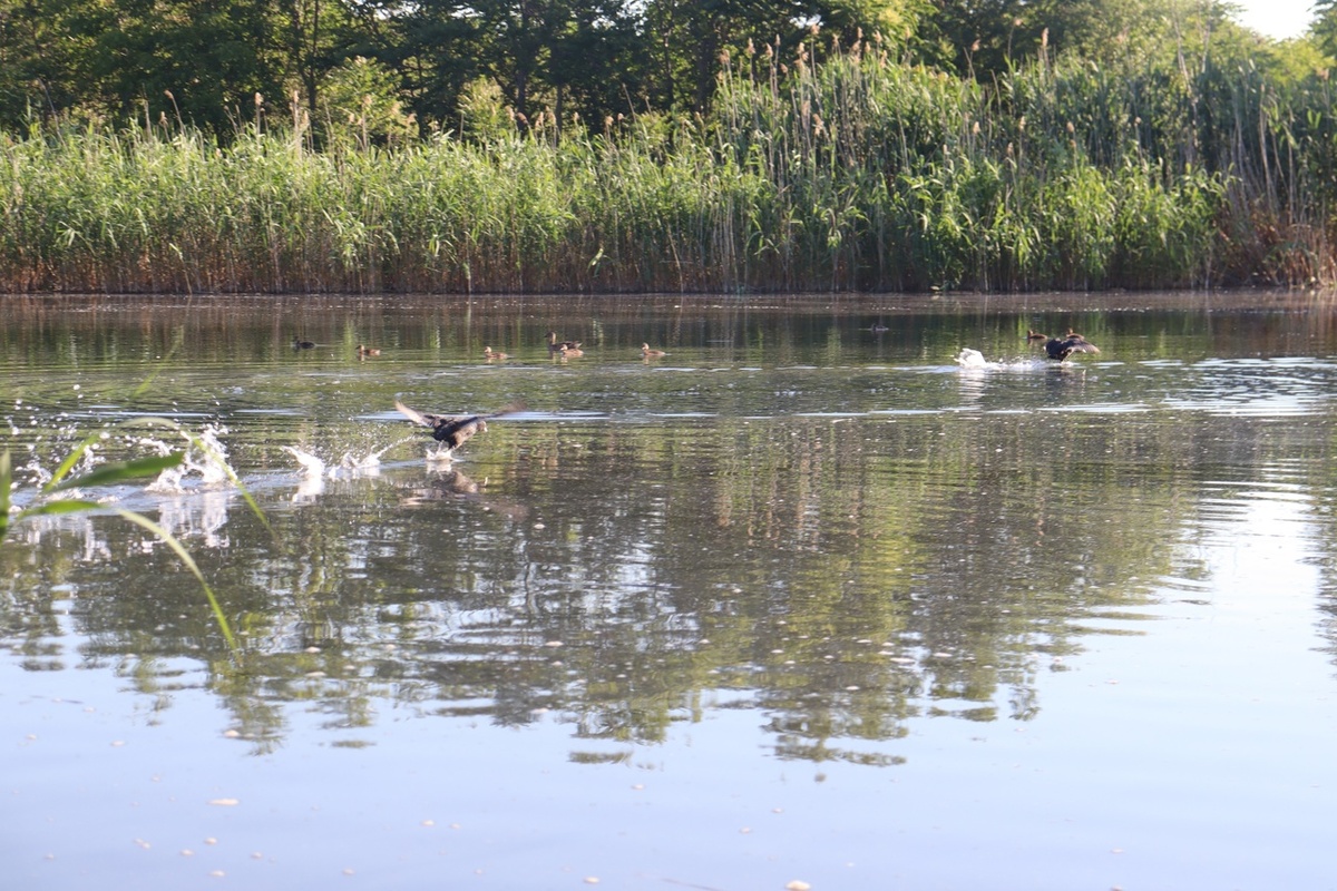 Ориби Каммпирр - Порой надо кричать (из рассказа "Шёпот могил") © Copyright: Ориби Каммпирр