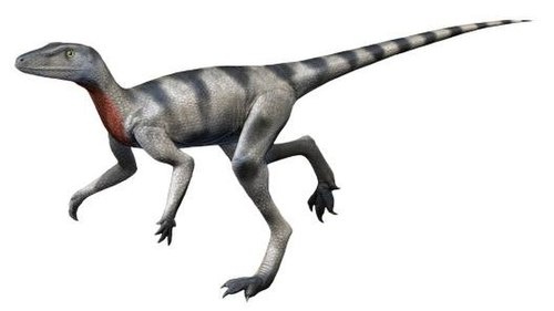 Сальтоп. Реконструкция.