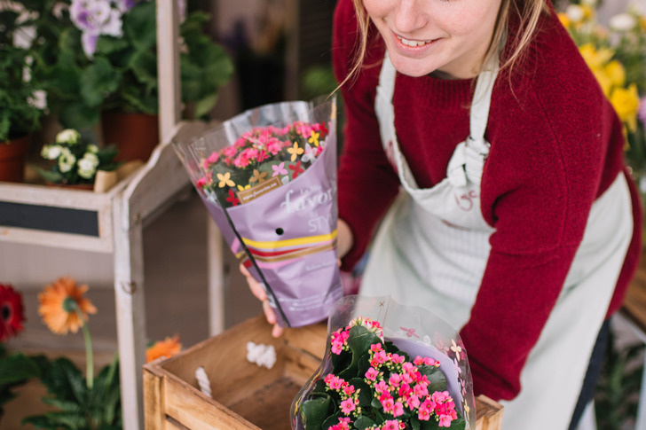 © freepik / Freepik