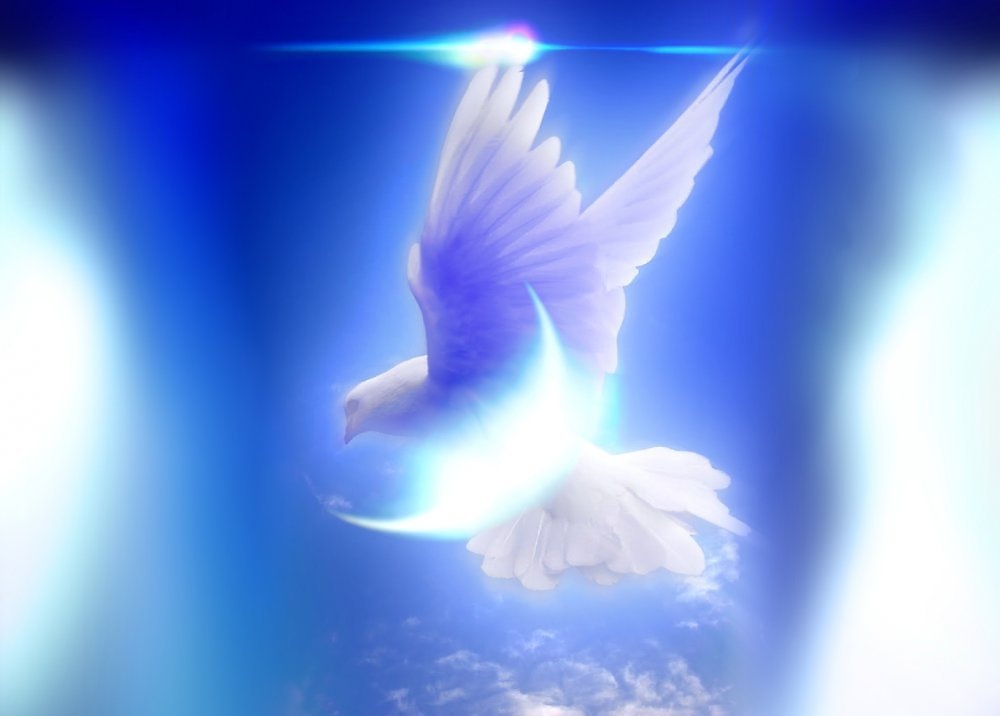 Дух дышит где хочет...