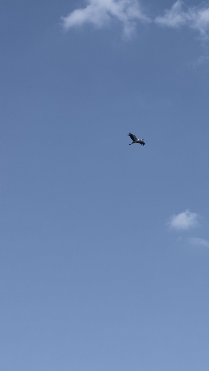 Уран в древнегреческой мифологии - бог Неба.