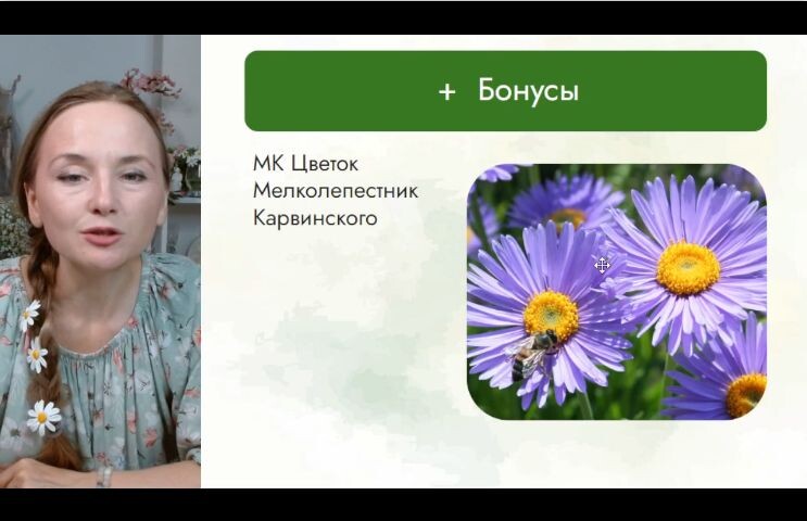 А потом по уроку можно слепить много цветов, похожих на ромашки - техника епки одинаковая 