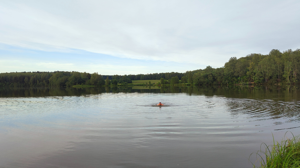 Водоем для купания - критически важен, чтобы дети хотели приезжать на дачу