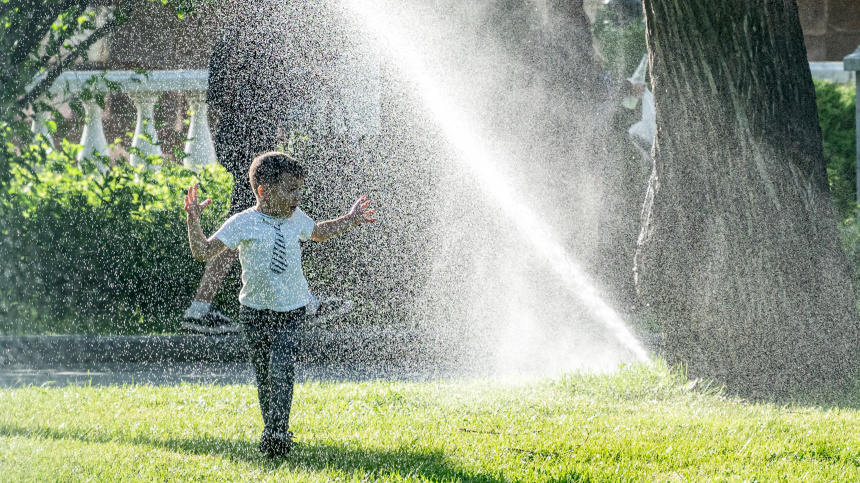    Фото: ИЗВЕСТИЯ/Константин Кокошкин