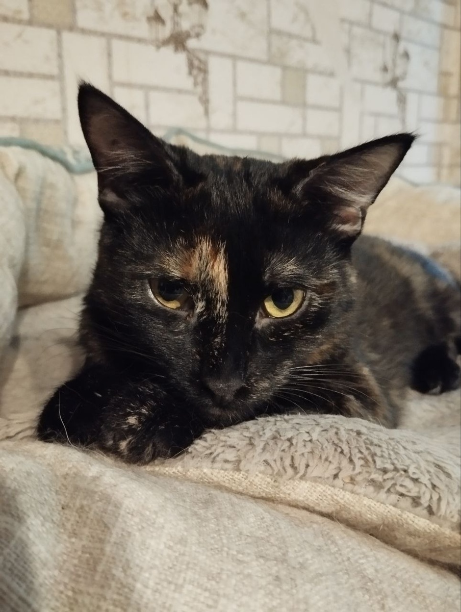 Не смотрите на суровое выражение лица, это для имиджа))