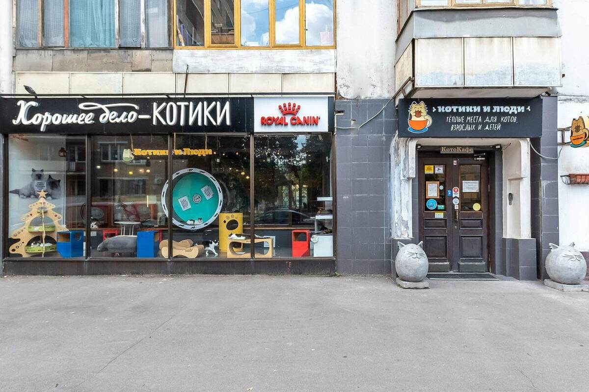 Котокафе в Москве на ул. Гиляровского. Источник: yandex.ru