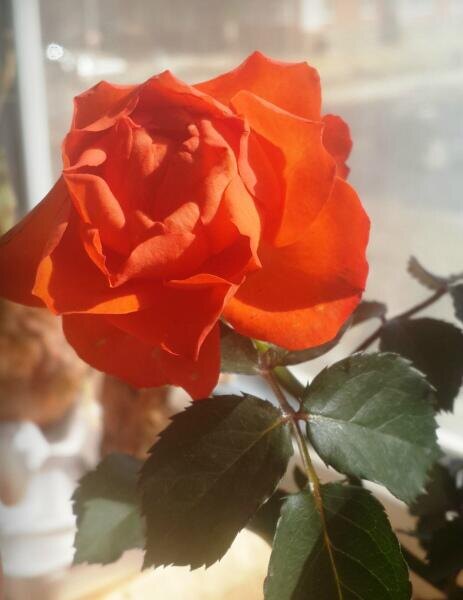    Фото: Станислава Майская, личный архив