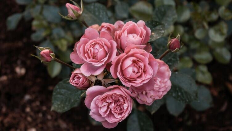     Фото: Heide-Mari Kotzee on Unsplash