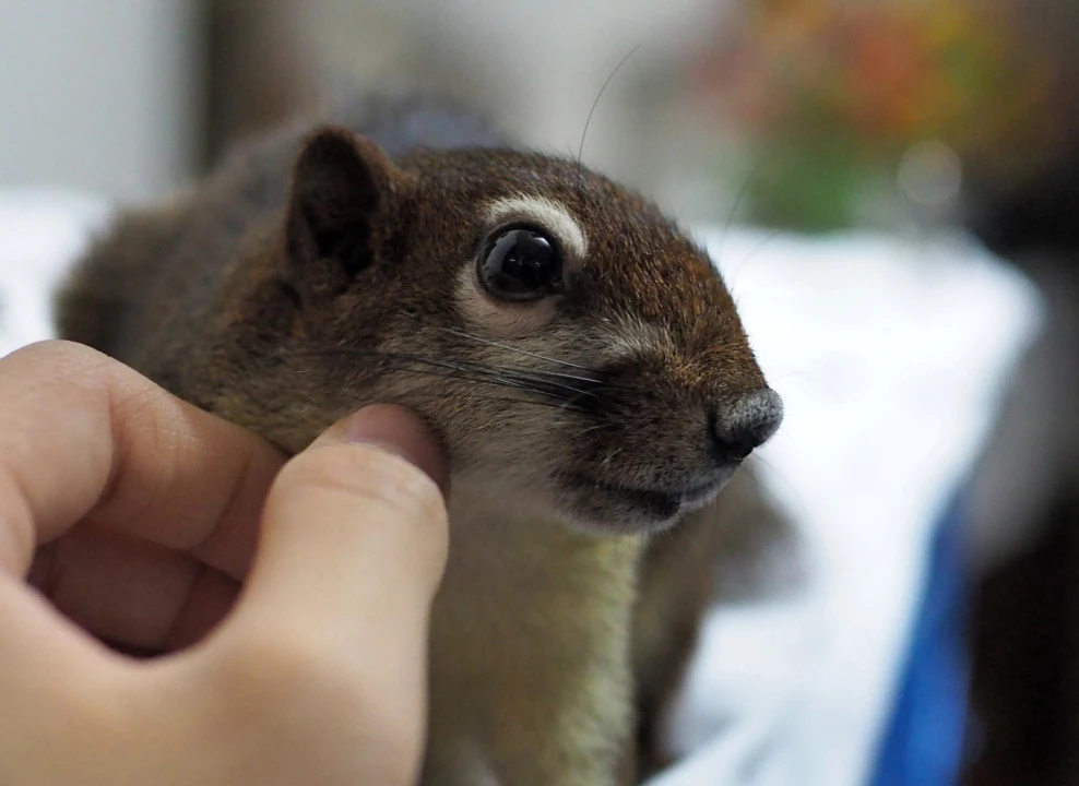 Фото: RJ22 | Shutterstock | Fotodom